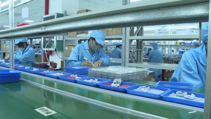 賓陽縣:規上企業工業運行向好 助力縣域經濟揚帆&ldquo;遠航&rdquo;